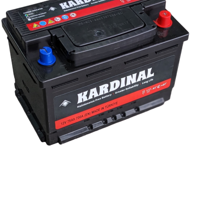 kardinal-75-right-PhotoRoom.png-PhotoRoom.png